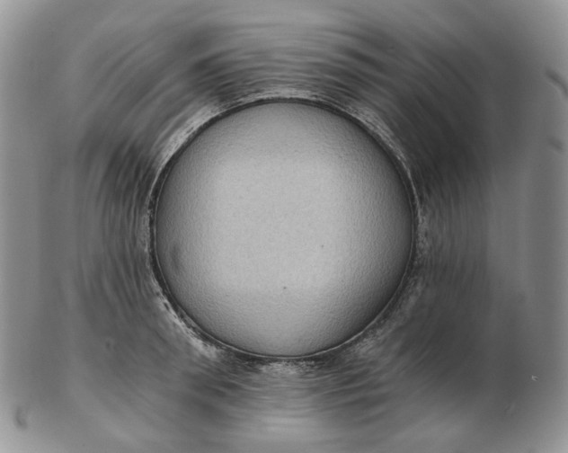 X0000102770898200809021027