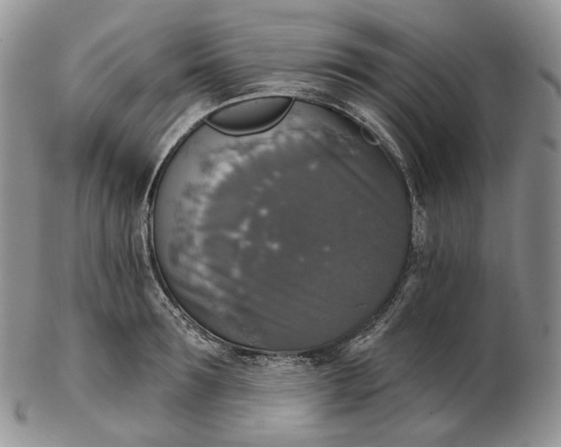 X0000102770899200809021027