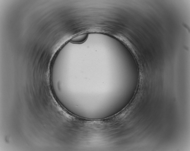 X0000102770902200809021027