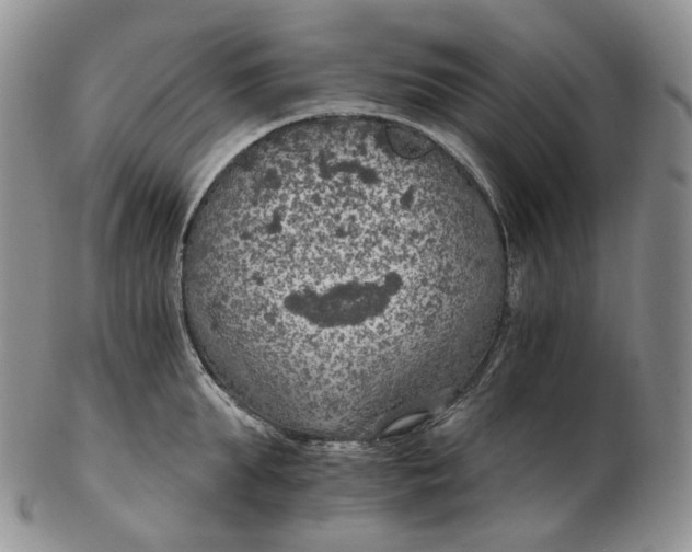 X0000102770903200809021027