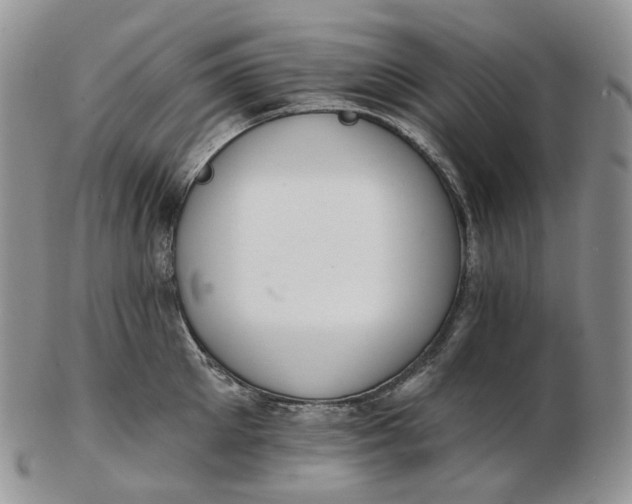 X0000102770905200809021027