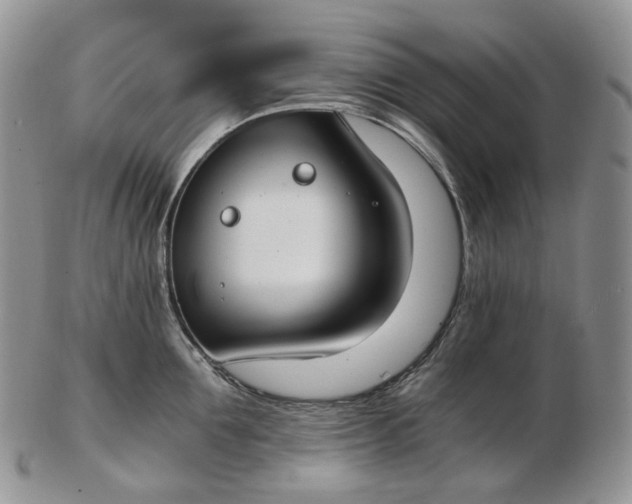 X0000102770907200809021027