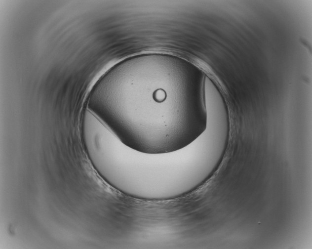 X0000102770908200809021027