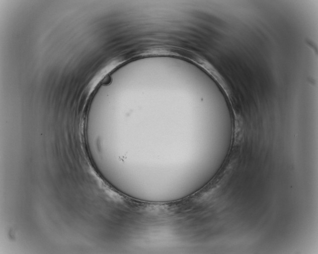 X0000102770909200809021027