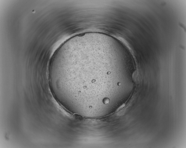 X0000102770910200809021027