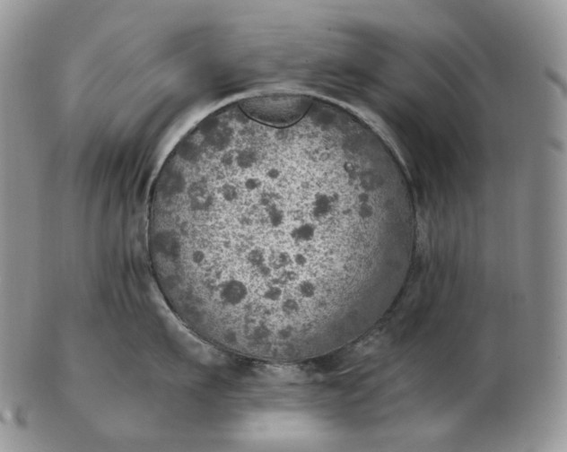 X0000102770911200809021027