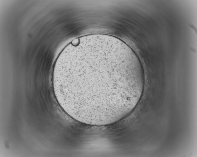 X0000102770912200809021027