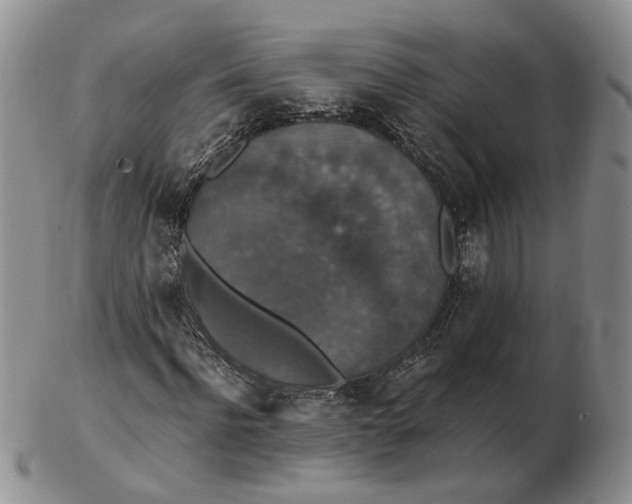 X0000102770916200809021026