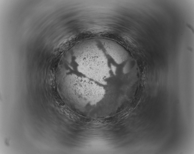 X0000102770917200809021026