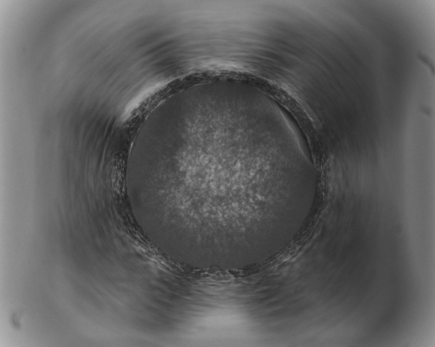 X0000102770919200809021026