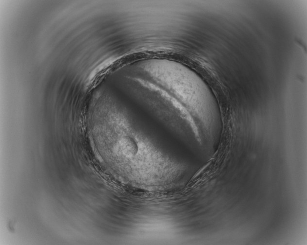 X0000102770920200809021026