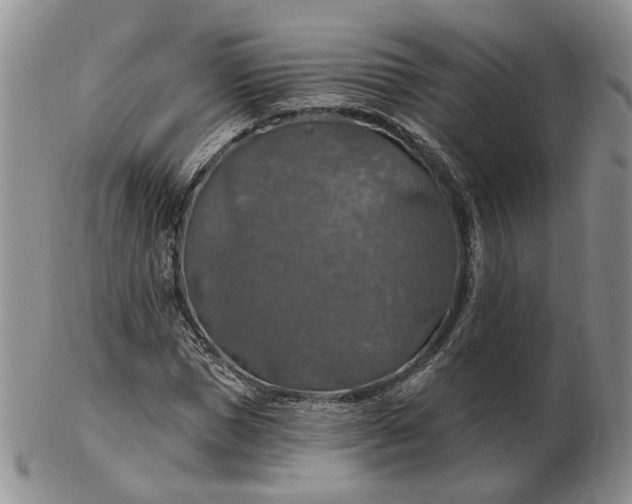 X0000102770921200809021026