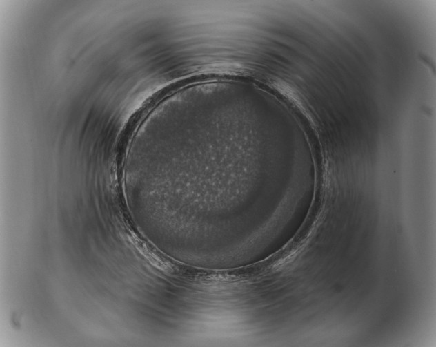 X0000102770923200809021026