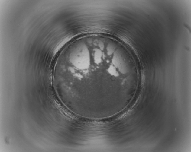 X0000102770925200809021026