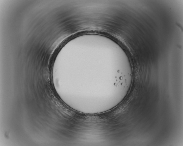 X0000102770927200809021026