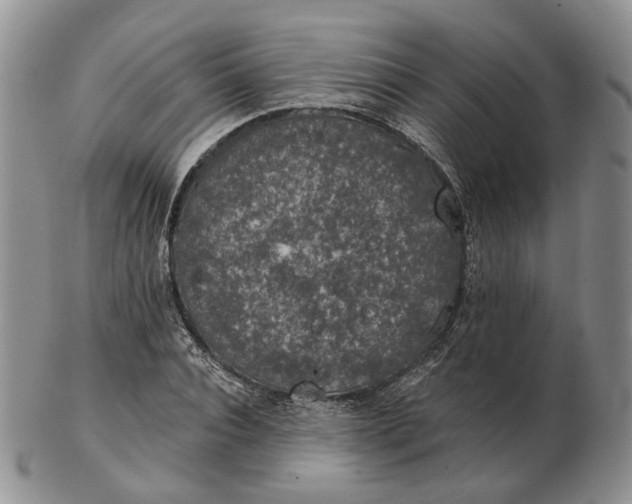 X0000102770928200809021026