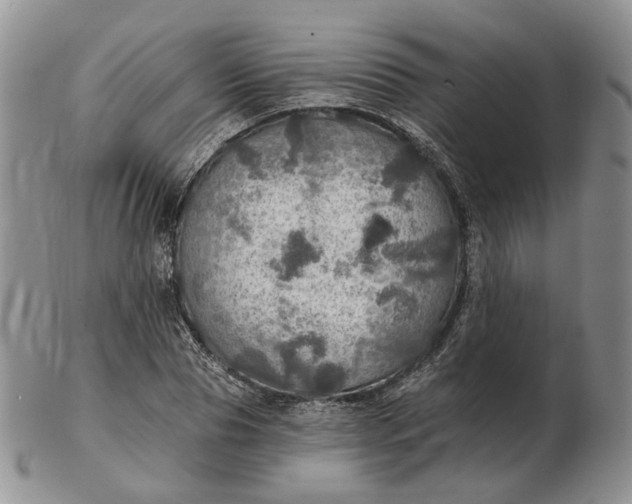 X0000102770929200809021026