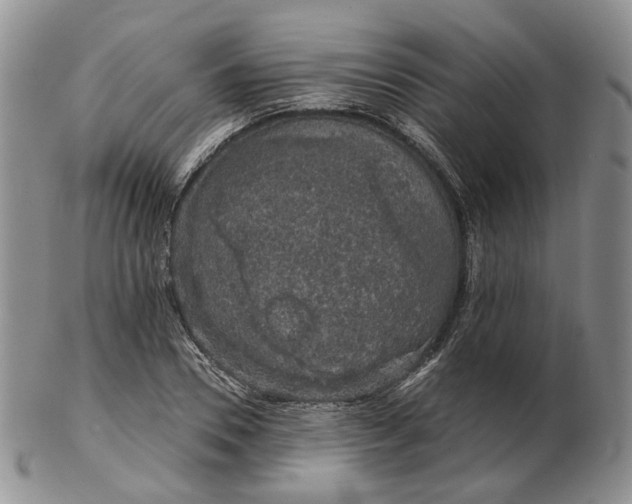 X0000102770930200809021026