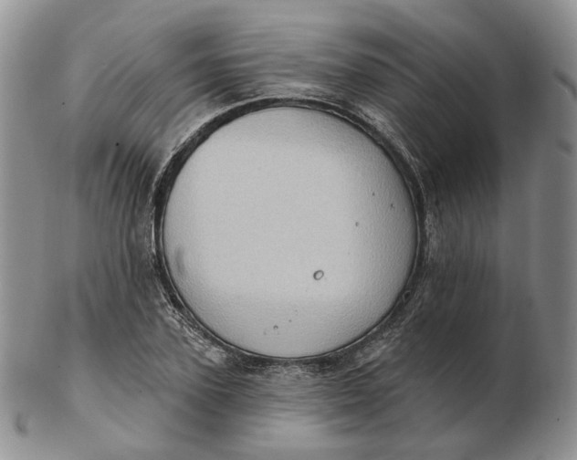 X0000102770931200809021026