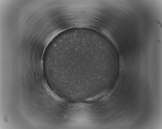 X0000102770932200809021026