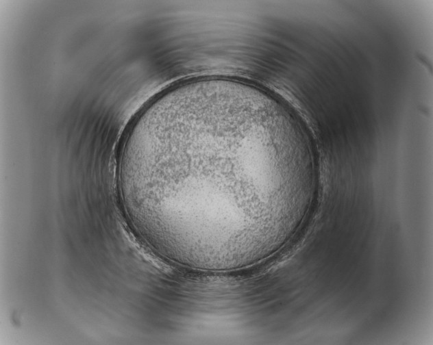 X0000102770933200809021026