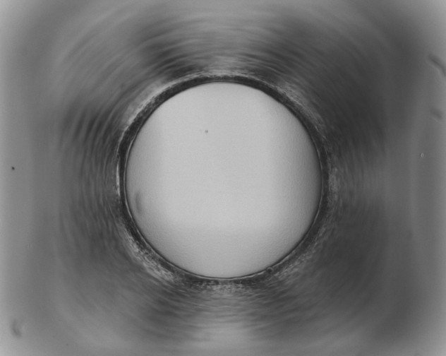 X0000102770934200809021026