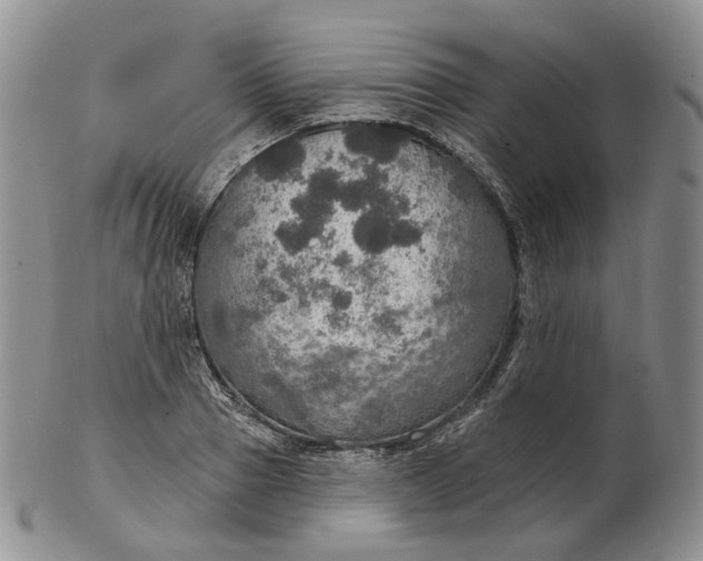 X0000102770937200809021026