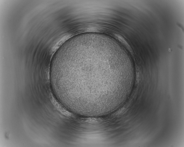 X0000102770938200809021026