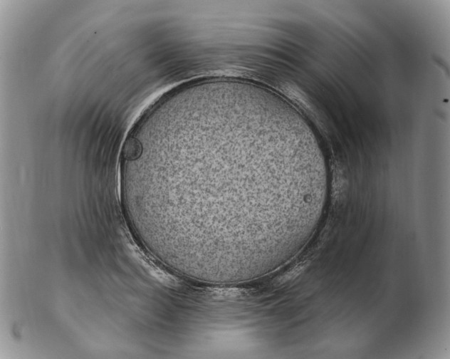 X0000102770940200809021026