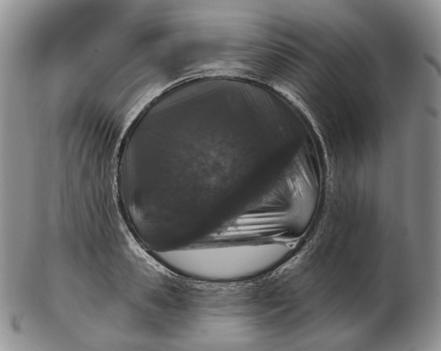 X0000102770941200809021026