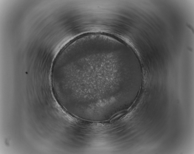 X0000102770943200809021026