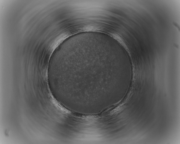 X0000102770946200809021026