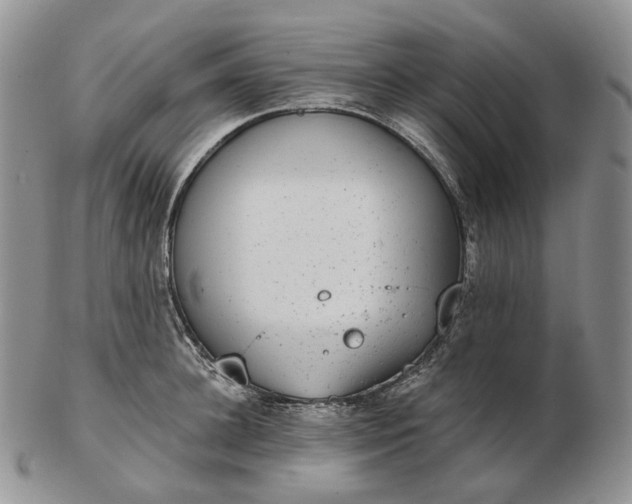 X0000102770948200809021027