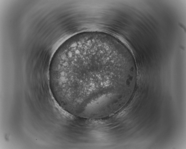 X0000102770951200809021027