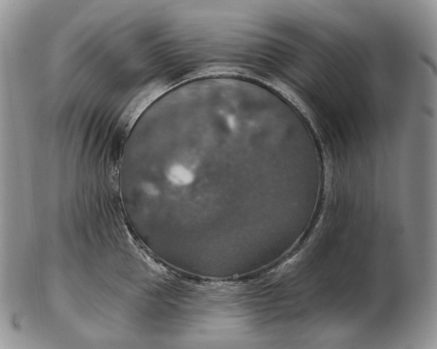 X0000102770953200809021027