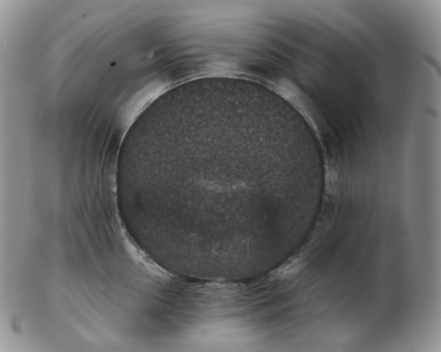 X0000102770954200809021027