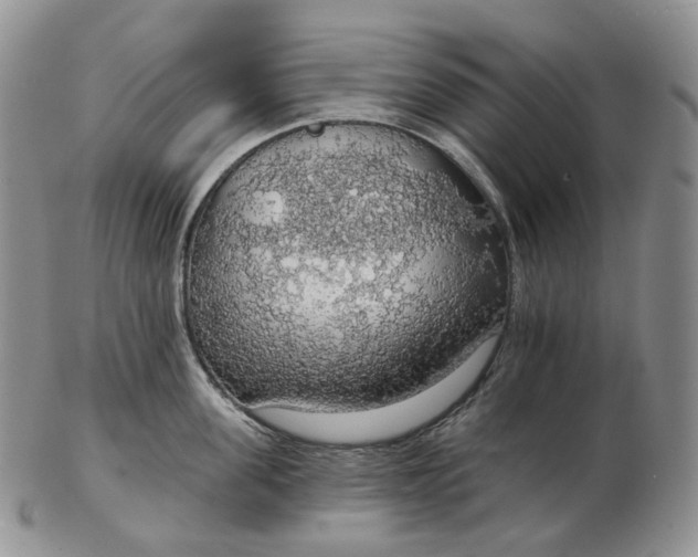 X0000102770955200809021027