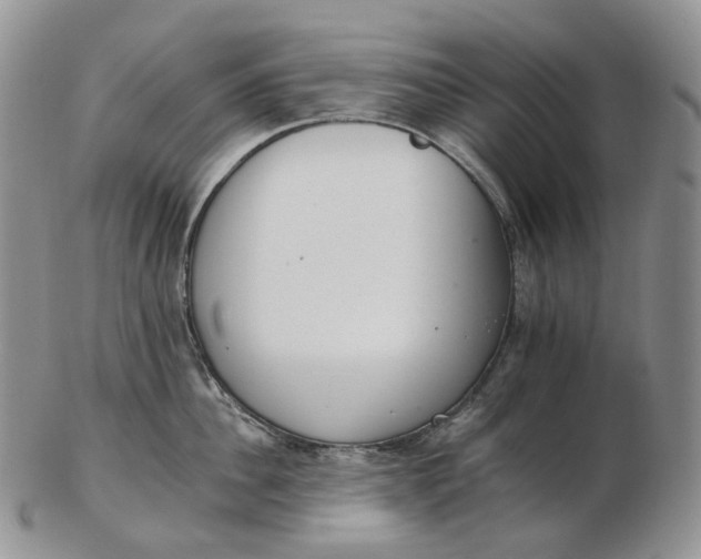 X0000102770956200809021027