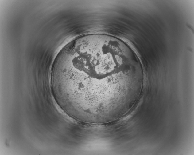 X0000102770957200809021027