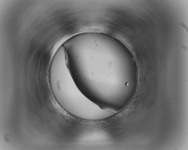 X0000102770960200809021027