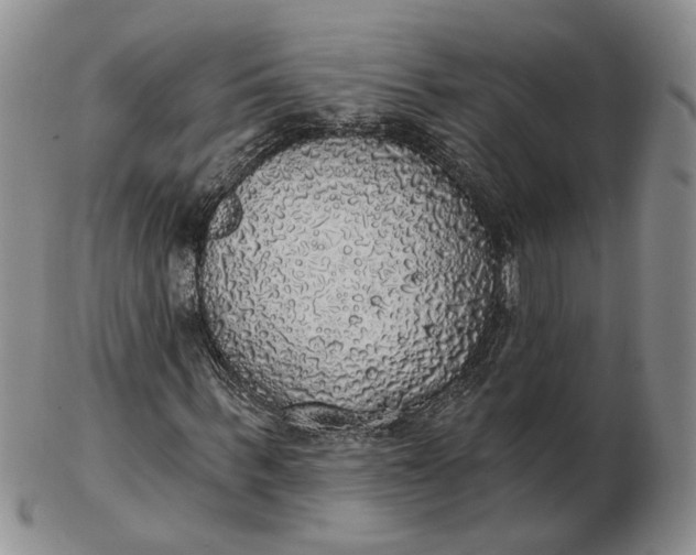 X0000102770963200809021026