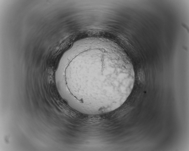 X0000102770964200809021026