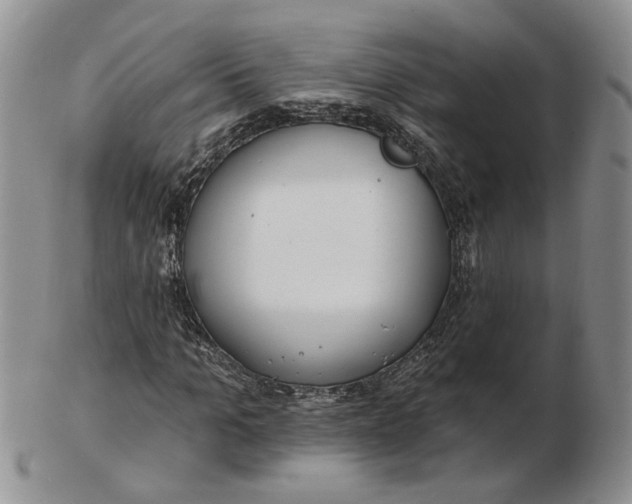 X0000102770965200809021026