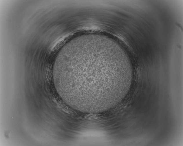 X0000102770967200809021026