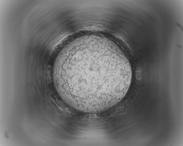 X0000102770968200809021026