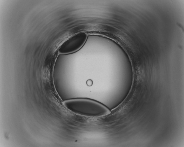 X0000102770969200809021026