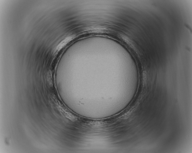 X0000102770970200809021026