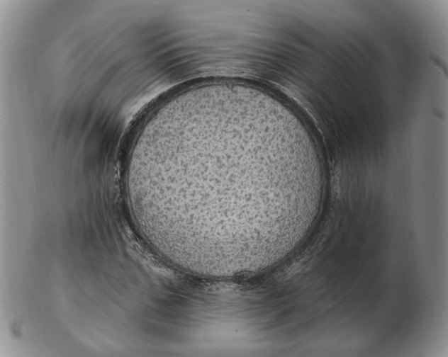 X0000102770971200809021026