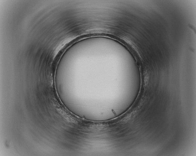 X0000102770973200809021026