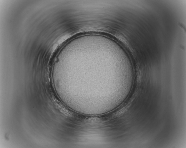 X0000102770974200809021026